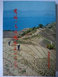 愛媛の文学散歩 3 ＜愛媛文化双書 3＞