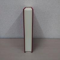 奈良朝漢詩文の比較文学的研究