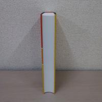 Die letzte Stunde der Wahrheit: Warum rechts und links keine Alternativen mehr sind und Gesellschaft ganz anders beschrieben werden muss