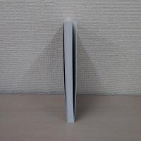 Observing International Relations (New International Relations)