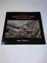命を守るために防災 糸魚川大火「魔」の強風 : 未来に伝える糸魚川市駅北大火写真集