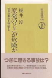 原発のどこが危険か : 世界の事故を検証する