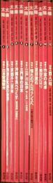太陽　１９９４年１月～１２月（１１月欠）