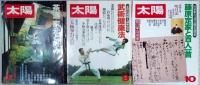 太陽　１９８０年（１月～１２月）８月欠