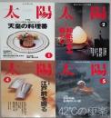 太陽　１９９９年1月２月４月５月