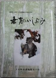 妻有のいしぶみ : 新潟県十日町市・中魚沼郡地方の石造文化財