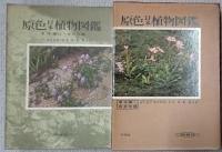 原色日本植物図鑑 上中下