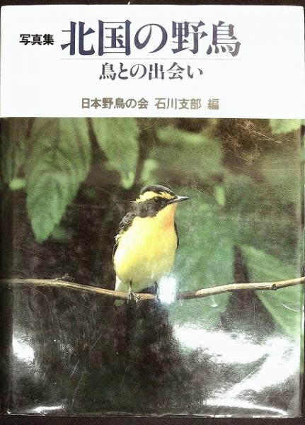 北国の野鳥 鳥との出会い 写真集 日本野鳥の会石川支部 編 いやひこ堂 古本 中古本 古書籍の通販は 日本の古本屋 日本の古本屋