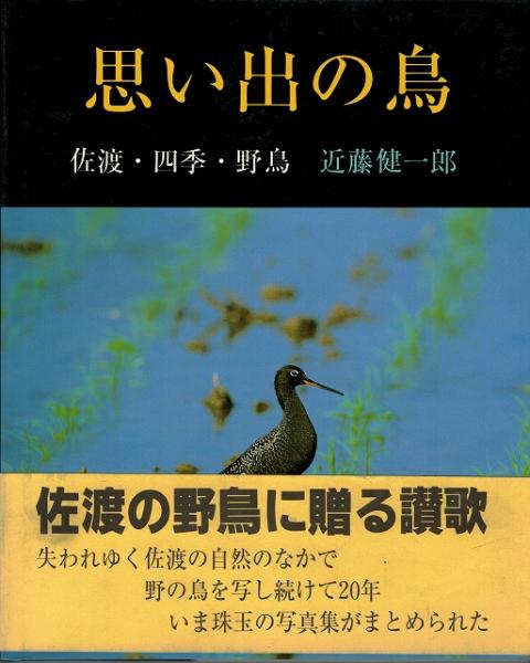 思い出の鳥 佐渡 四季 野鳥 近藤健一郎 著 いやひこ堂 古本 中古本 古書籍の通販は 日本の古本屋 日本の古本屋