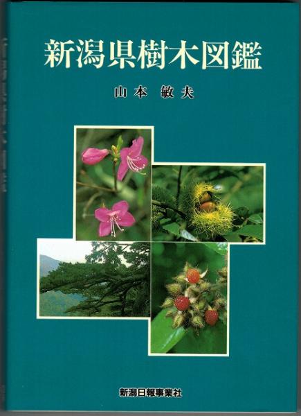 新潟県樹木図鑑 山本敏夫 著 いやひこ堂 古本 中古本 古書籍の通販は 日本の古本屋 日本の古本屋 新潟県樹木図鑑 山本敏夫 著 いやひこ堂 古本 中古本 古書籍の通販は 日本の古本屋 日本の古本屋