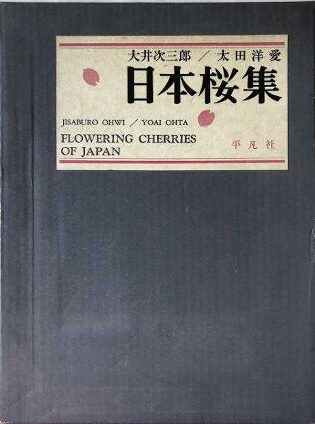日本桜集