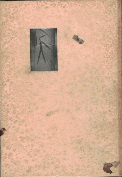 ☆〈貴重本〉「竹の研究」竹内淑雄 著 養賢堂 発行 ☆〈貴重本〉「竹の