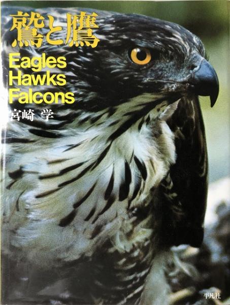 鷲と鷹(宮崎学 著) / 古本、中古本、古書籍の通販は「日本の古本屋