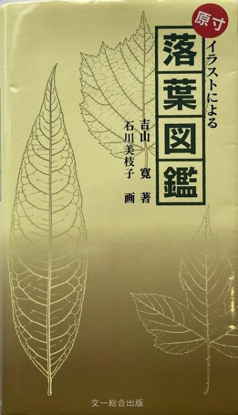原寸イラストによる 落葉図鑑 送料無料 吉山寛 著 石川美枝子 画 古本 中古本 古書籍の通販は 日本の古本屋 日本の古本屋