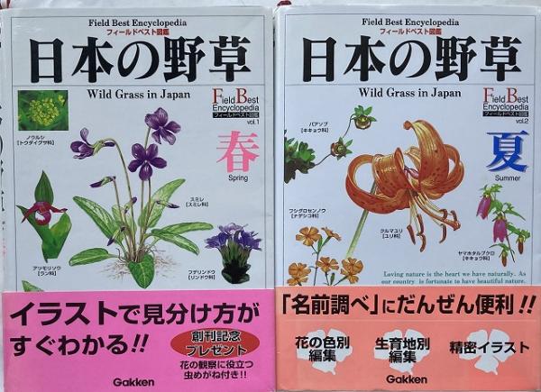 日本の野草 春 夏 2冊セット 送料無料 矢野亮 監修 古本 中古本 古書籍の通販は 日本の古本屋 日本の古本屋 日本の野草 春 夏 2冊セット 送料無料 矢野亮 監修 古本 中古本 古書籍の通販は 日本の古本屋 日本の古本屋