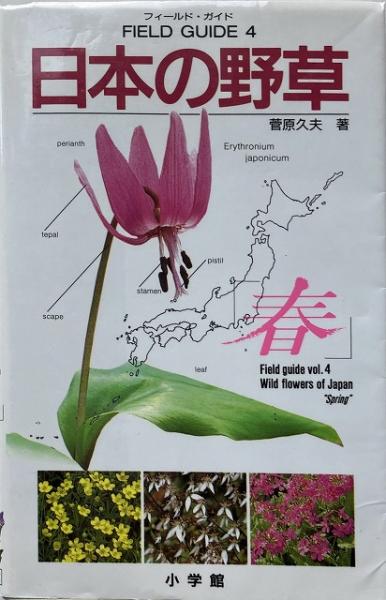 日本の野草 春 送料無料 菅原久夫 著 いやひこ堂 古本 中古本 古書籍の通販は 日本の古本屋 日本の古本屋 日本の野草 春 送料無料 菅原久夫 著 いやひこ堂 古本 中古本 古書籍の通販は 日本の古本屋 日本の古本屋