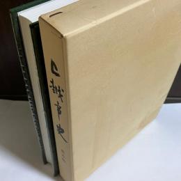 上越市史 : 普及版