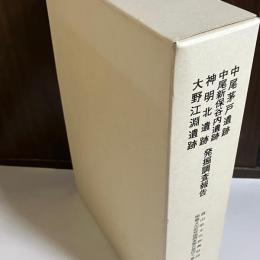 中尾茅戸遺跡 ; 中尾新保谷内遺跡 ; 神明北遺跡 ; 大野江淵遺跡 : 発掘調査報告
