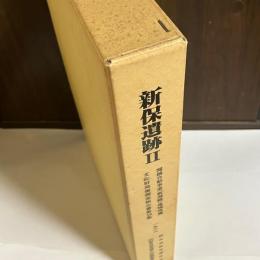 新保遺跡２