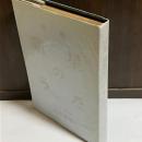 暗星のうた : 詩集