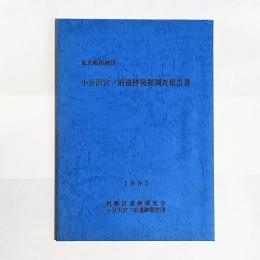 小豆沢宮ノ前遺跡発掘調査報告書