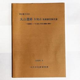 丸山遺跡B地点発掘調査報告書