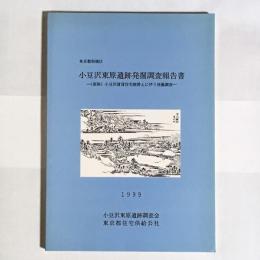 小豆沢東原遺跡発掘調査報告書 : (仮称)小豆沢賃貸住宅建替えに伴う発掘調査