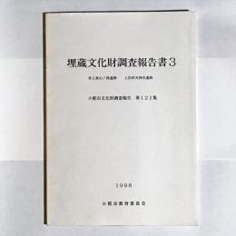 埋蔵文化財発掘調査報告書３