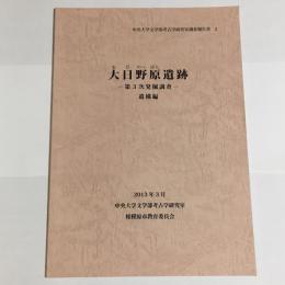 大日野原遺跡 : 第3次発掘調査