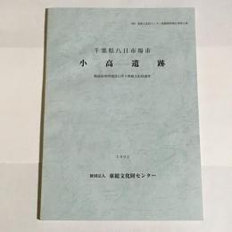 小高遺跡 : 飯高保育所建設に伴う埋蔵文化財調査