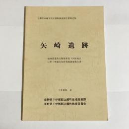 矢崎遺跡 : 地域農業拠点整備事業下河原地区に伴う埋蔵文化財発掘調査報告書