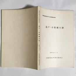 追戸・中野横穴群 : 宮城県遠田郡涌谷町文化財調査報告書