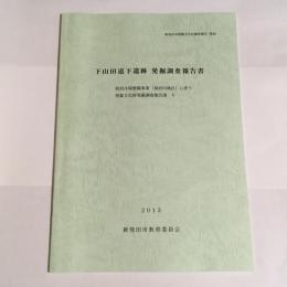 下山田道下遺跡発掘調査報告書