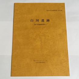 久留米市文化財調査報告書　第377集　白川遺跡　第６次発掘調査報告