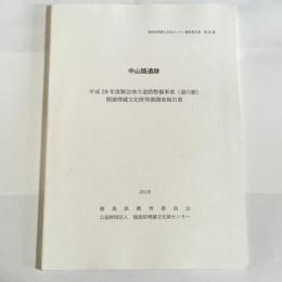 中山路遺跡 : 平成28年度緊急地方道路整備事業(道の駅)関連埋蔵文化財発掘調査報告書