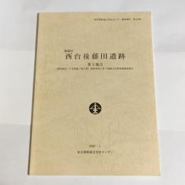 南西田遺跡調査報告書