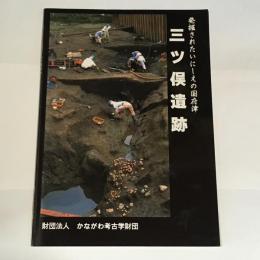 三ツ俣遺跡 : 発掘されたいにしえの国府津