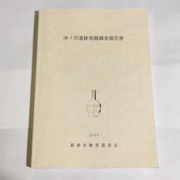 沖ノ羽遺跡発掘調査報告書