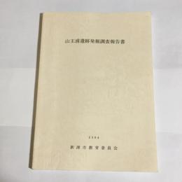 山王浦遺跡発掘調査報告書