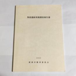 無頭遺跡発掘調査報告書