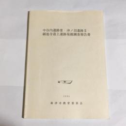 中谷内遺跡3・沖ノ羽遺跡2・細池寺道上遺跡発掘調査報告書