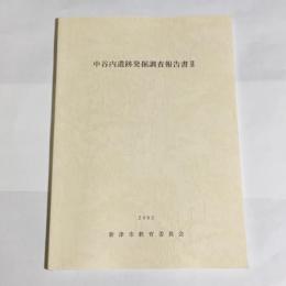 中谷内遺跡発掘調査報告書