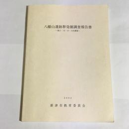 八幡山遺跡群発掘調査報告書