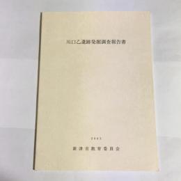 川口乙遺跡発掘調査報告書