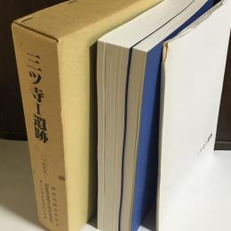 三ツ寺Ⅰ遺跡 : 古墳時代居館の調査