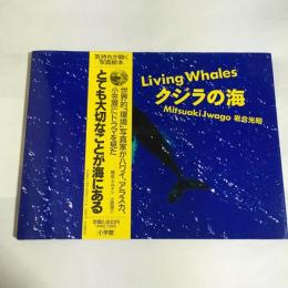 クジラの海