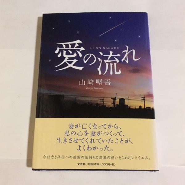 ドイツ民主共和国法概説(山田晟 著) / 天地人堂 / 古本、中古本