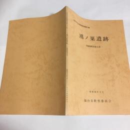 鴻ノ巣遺跡 : 発掘調査報告