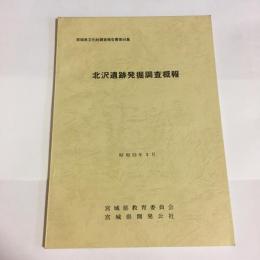 宮城県文化財調査報告書