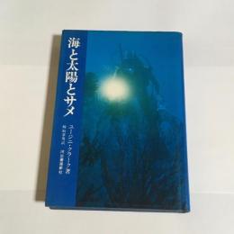 海と太陽とサメ